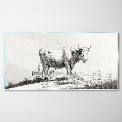 Glasbild Schwarze Kuh auf der Weide