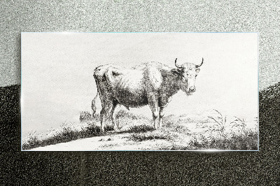 Glasbild Schwarze Kuh auf der Weide