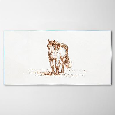 Glasbild Pferd auf der Wiese