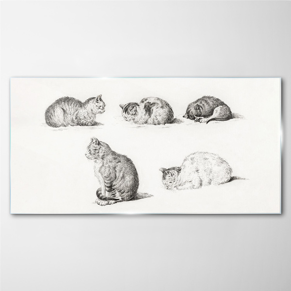 Glasbild Verschiedene Haltungen von Katzen