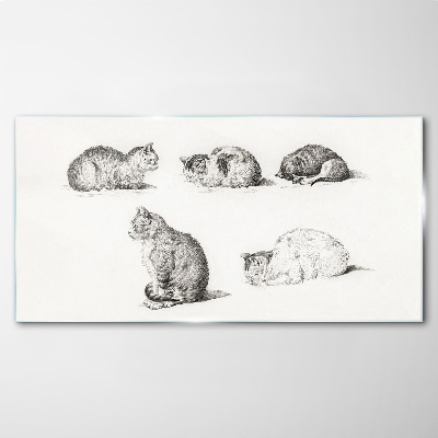 Glasbild Verschiedene Haltungen von Katzen
