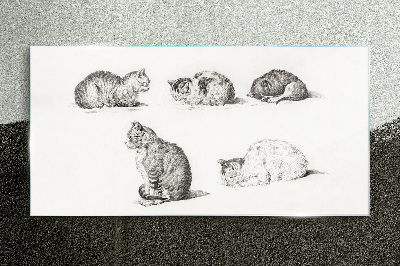 Glasbild Verschiedene Haltungen von Katzen