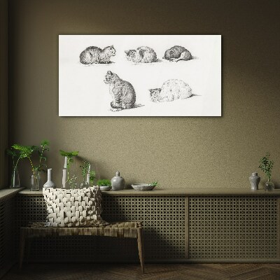Glasbild Verschiedene Haltungen von Katzen