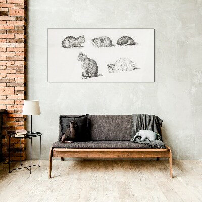Glasbild Verschiedene Haltungen von Katzen