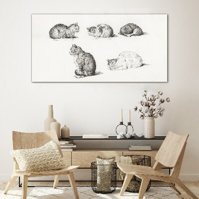 Glasbild Verschiedene Haltungen von Katzen
