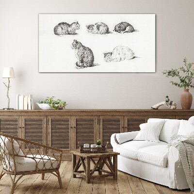 Glasbild Verschiedene Haltungen von Katzen