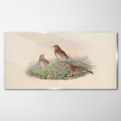 Bild auf glas drucken Vögel auf einem Hintergrund aus Blumen