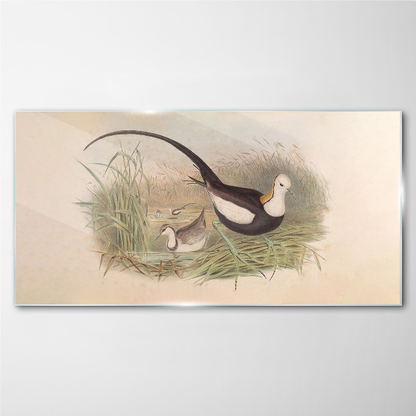 Glasbild Vögel im Gras
