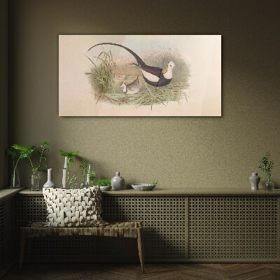 Glasbild Vögel im Gras