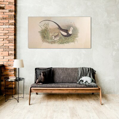 Glasbild Vögel im Gras