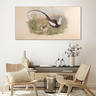 Glasbild Vögel im Gras