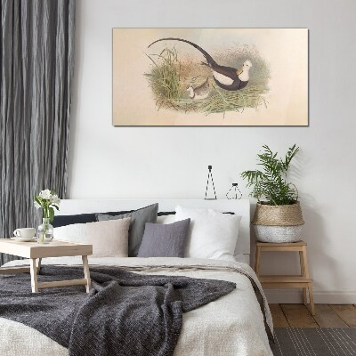 Glasbild Vögel im Gras