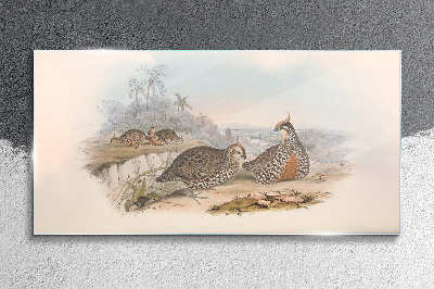 Glasbild Enten in tropischer Umgebung