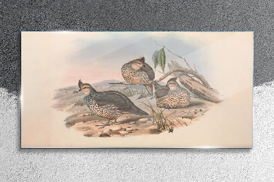 Foto auf glas Friedliches Vogelleben am Strand