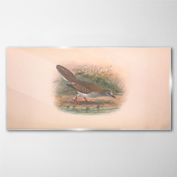 Glasbild Ein Vogel über dem Wasser