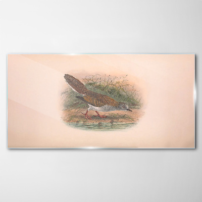 Glasbild Ein Vogel über dem Wasser