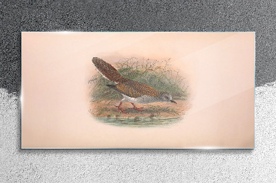 Glasbild Ein Vogel über dem Wasser
