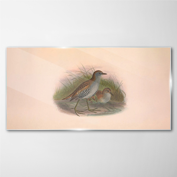 Bild auf glas Vögel im Gras