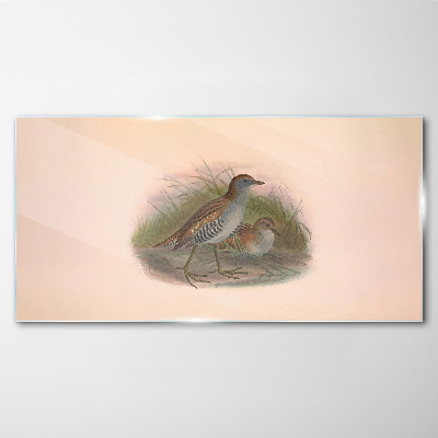 Bild auf glas Vögel im Gras