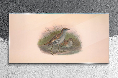 Bild auf glas Vögel im Gras