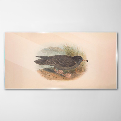 Glasbild Ein Vogel am Wasserrand