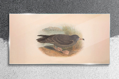 Glasbild Ein Vogel am Wasserrand