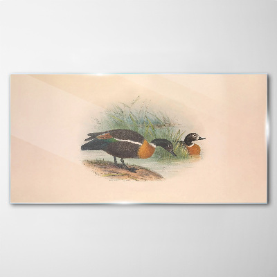 Glas bild Zwei Enten im Gras