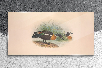 Glas bild Zwei Enten im Gras