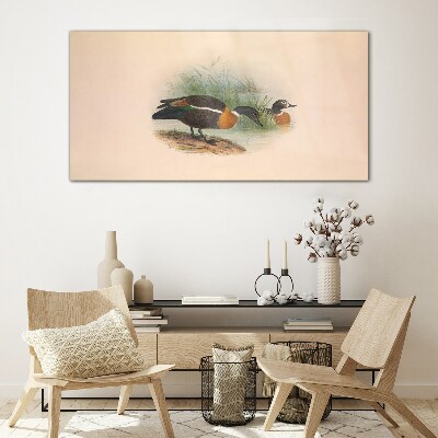 Glas bild Zwei Enten im Gras