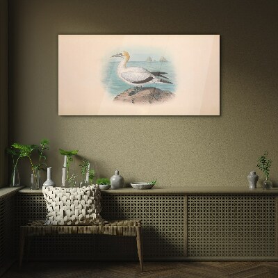 Glasbild Seevogel im Wasser