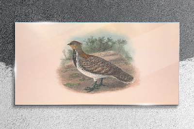 Foto auf glas Ein Vogel im Hintergrund der Natur