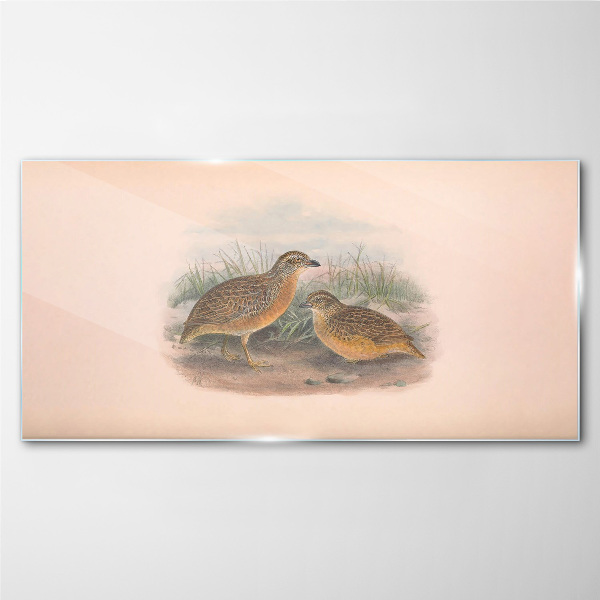 Glasbild Zwei Vögel im Gras