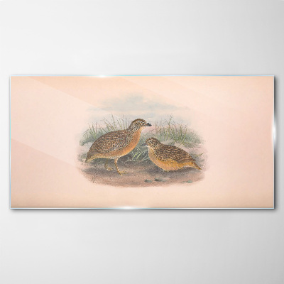 Glasbild Zwei Vögel im Gras