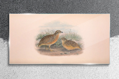 Glasbild Zwei Vögel im Gras