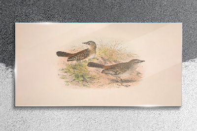 Glasbild Vögel Tiere Beige