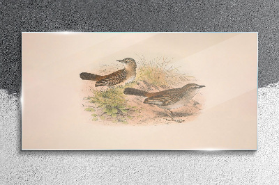 Glasbild Vögel in einem natürlichen Hintergrund