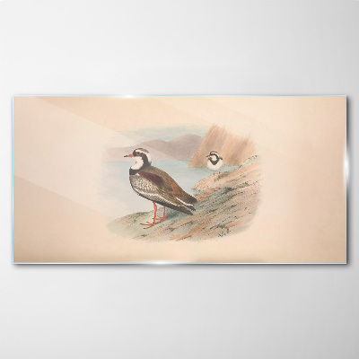 Glasbild Vögel über dem Wasser