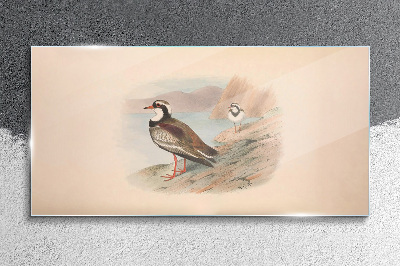 Glasbild Vögel über dem Wasser