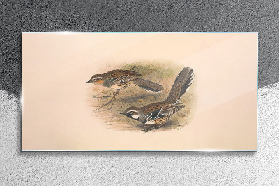Foto auf glas Vögel in einer zarten Umgebung