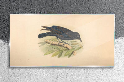 Bild auf glas drucken Schwarzer Vogel auf einem Ast