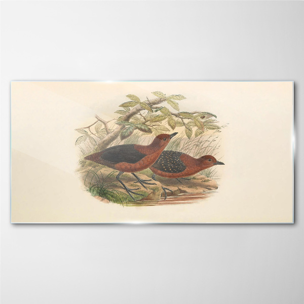 Glasbild Vögel in ihrem natürlichen Lebensraum