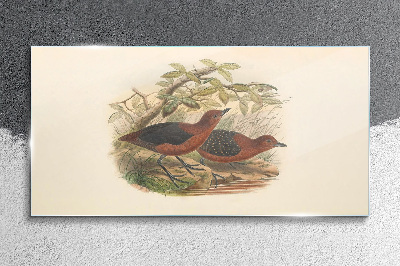 Glasbild Vögel in ihrem natürlichen Lebensraum