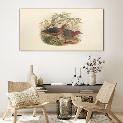 Glasbild Vögel in ihrem natürlichen Lebensraum