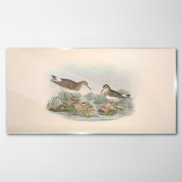 Glas bild Vögel am Teich in Pastellfarben