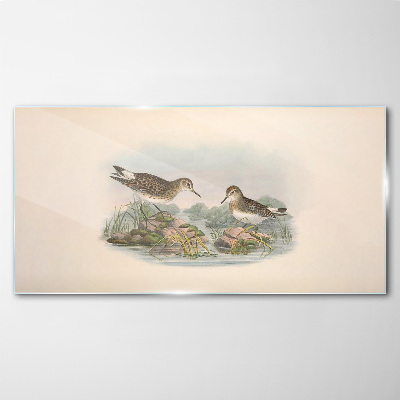 Glas bild Vögel am Teich in Pastellfarben