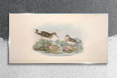 Glas bild Vögel am Teich in Pastellfarben