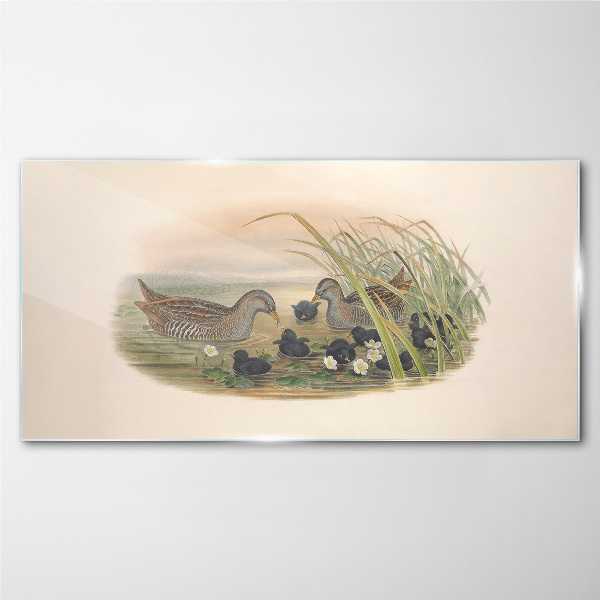 Glasbild Entenfamilien in einer Wasserumgebung