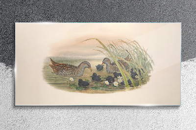 Glasbild Entenfamilien in einer Wasserumgebung