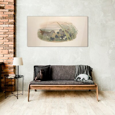 Glasbild Entenfamilien in einer Wasserumgebung
