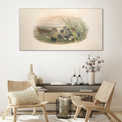 Glasbild Entenfamilien in einer Wasserumgebung